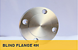 Stainless Steel Flange / หน้าแปลนสแตนเลส 304 , 316