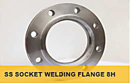 Stainless Steel Flange / หน้าแปลนสแตนเลส 304 , 316